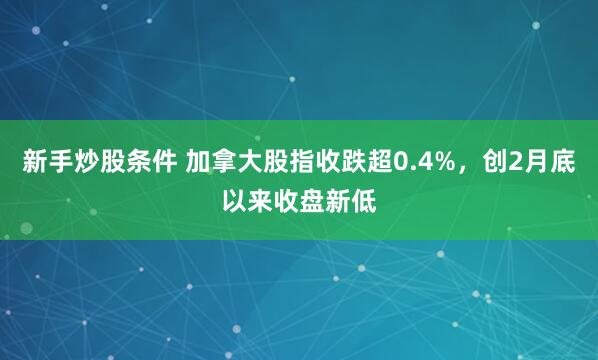新手炒股条件 加拿大股指收跌超0.4%，创2月底以来收盘新低
