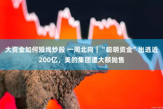 大资金如何短线炒股 一周北向｜“聪明资金”出逃近200亿，美的集团遭大额抛售