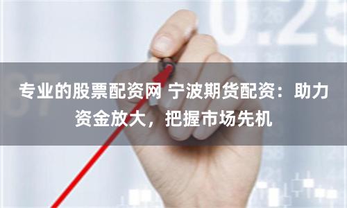 专业的股票配资网 宁波期货配资：助力资金放大，把握市场先机
