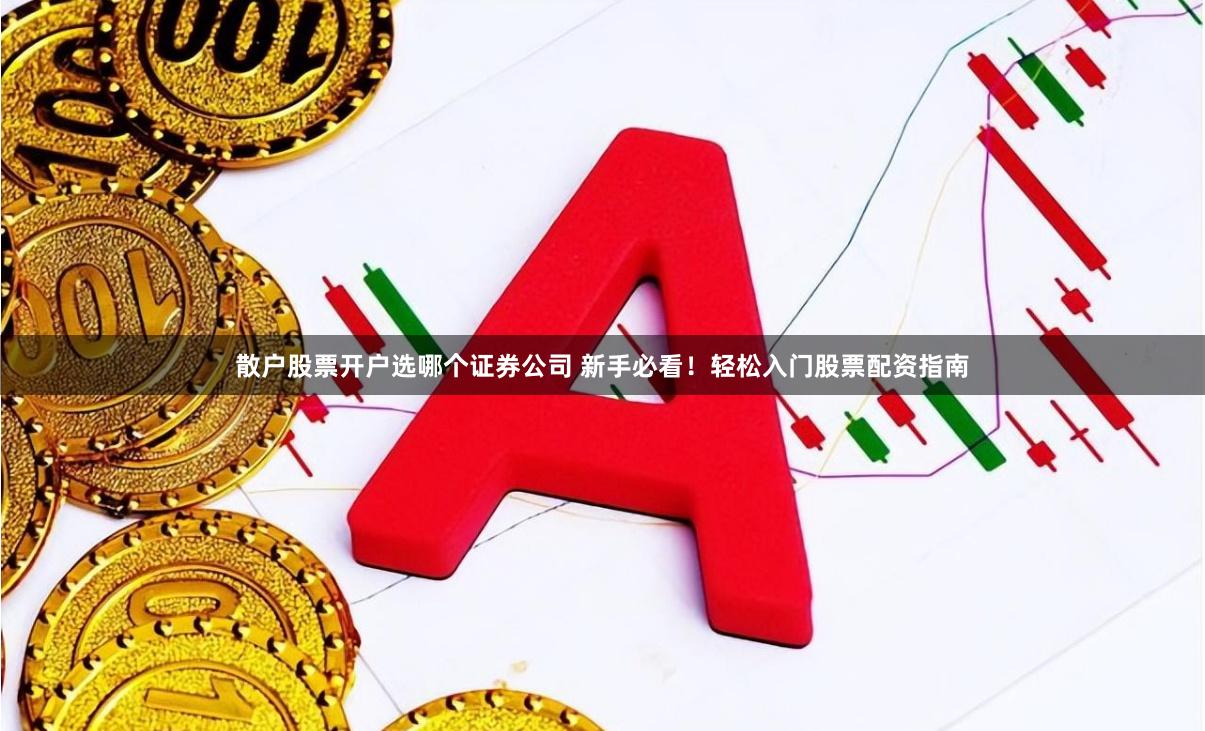 散户股票开户选哪个证券公司 新手必看！轻松入门股票配资指南