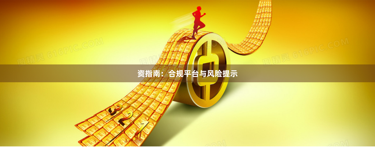 资指南:合规平台与风险提示
